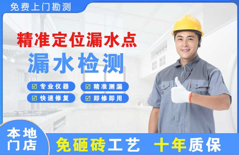 萨嘎精准测漏点